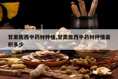 <b>����¤����ҩ����ֲ,����¤����ҩ����ֲ�������</b>