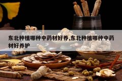 <b>������ֲ������ҩ�ĺ���,������ֲ������ҩ�ĺ�����</b>