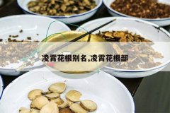 <b>������������,����������</b>