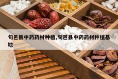 <b>Ѯ������ҩҩ����ֲ,Ѯ������ҩҩ����ֲ����</b>