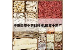 <b>���Ĺ�ԭ��ҩ����ֲ,��ԭ��ҩ��</b>