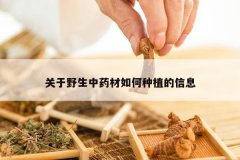 <b>����Ұ����ҩ�������ֲ����Ϣ</b>