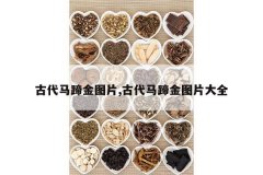 <b>�Ŵ������ͼƬ,�Ŵ������ͼƬ��ȫ</b>