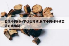 <b>������ҩ�����·�����ֲ,������ҩ����ֲʵʩ��������</b>