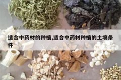 <b>�ʺ���ҩ�ĵ���ֲ,�ʺ���ҩ����ֲ����������</b>