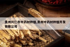 <b>������������ҩ����ֲ,������ҩ����ֲ�������޹�˾</b>