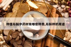 <b>��ֲʯ����ҩ������Щ����,ʯ���ֵ���;</b>