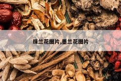 <b>������ͼƬ,ī����ͼƬ</b>