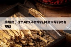 <b>��֬����ʲô��Чҩ����ҩ,��֬�в�ҩ������Щ</b>