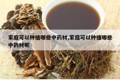 <b>��ͥ������ֲ��Щ��ҩ��,��ͥ������ֲ��Щ��ҩ����</b>