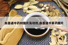 <b>Ѫ��ͨ��ҩ��ͼƬ����Ч,Ѫ��ͨ�в�ҩͼƬ</b>