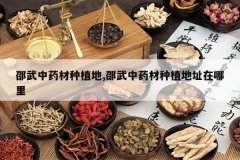 <b>������ҩ����ֲ��,������ҩ����ֲ��ַ������</b>