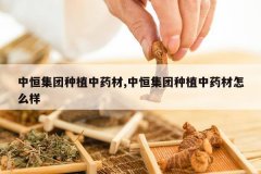 <b>�к㼯����ֲ��ҩ��,�к㼯����ֲ��ҩ����ô��</b>