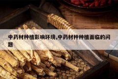 <b>��ҩ����ֲӰ�컷��,��ҩ������ֲ���ٵ�����</b>