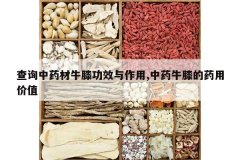 <b>��ѯ��ҩ��ţϥ��Ч������,��ҩţϥ��ҩ�ü�ֵ</b>