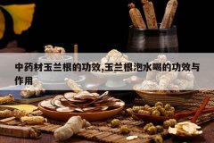 <b>��ҩ���������Ĺ�Ч,��������ˮ�ȵĹ�Ч������</b>