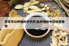 <b>����������ֲ����ҩ��,����ֲ����ҩ������Щ</b>