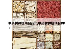 <b>��ҩ����ֲ��Ŀppt,��ҩ����ֲ��ĿPPT</b>