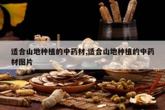 <b>�ʺ�ɽ����ֲ����ҩ��,�ʺ�ɽ����ֲ����ҩ��ͼƬ</b>