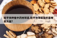 <b>��ƽ����ֲ��ҩ����Ŀ,��ƽ����Ŀָ������Щ����?</b>