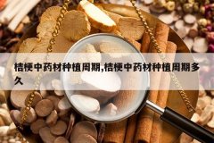 <b>�۹���ҩ����ֲ����,�۹���ҩ����ֲ���ڶ��</b>