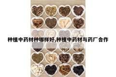 <b>��ֲ��ҩ����������,��ֲ��ҩ����ҩ������</b>