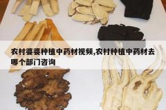 <b>ũ��������ֲ��ҩ����Ƶ,ũ����ֲ��ҩ��ȥ�ĸ�������ѯ</b>