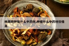 <b>�������ֲʲô��ҩ��,��ֲʲô��ҩ�ļ۸��</b>