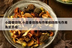 <b>С���㹦Ч,С���㹦Ч�����õĹ�Ч�����ü�����֢</b>