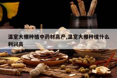 <b>���Ҵ�����ֲ��ҩ�ĸ߲�,���Ҵ�����ֲʲô�����</b>