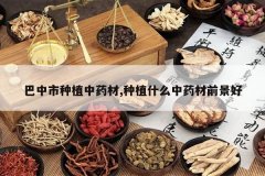 <b>��������ֲ��ҩ��,��ֲʲô��ҩ��ǰ����</b>