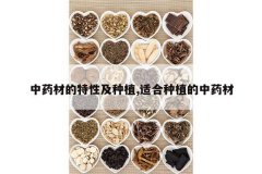 <b>��ҩ�ĵ����Լ���ֲ,�ʺ���ֲ����ҩ��</b>