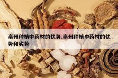 <b>������ֲ��ҩ�ĵ�����,������ֲ��ҩ�ĵ����ƺ�����</b>