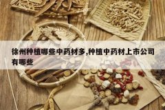 <b>������ֲ��Щ��ҩ�Ķ�,��ֲ��ҩ�����й�˾����Щ</b>