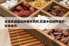 <b>��������������ֲ��ҩ��,������ҩ����ֲ����������</b>
