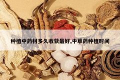 <b>��ֲ��ҩ�Ķ���ջ����,�в�ҩ��ֲʱ��</b>