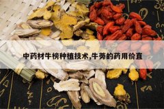 <b>��ҩ��ţ����ֲ����,ţ���ҩ�ü�ֱ</b>