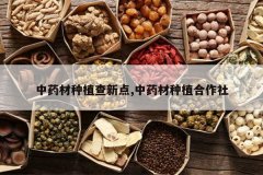 <b>��ҩ����ֲ���µ�,��ҩ����ֲ������</b>