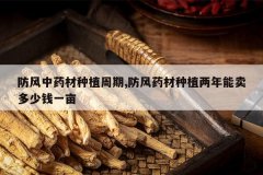 <b>������ҩ����ֲ����,����ҩ����ֲ������������ǮһĶ</b>