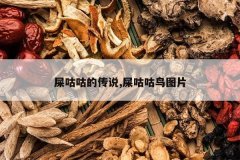 <b>ʺ�����Ĵ�˵,ʺ������ͼƬ</b>