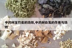 <b>��ҩ������Ƥ�Ĺ�Ч,��ҩ�İ�ܸ�������빦Ч</b>