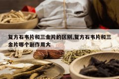 <b>����ʯΤƬ������Ƭ������,����ʯΤƬ������Ƭ�ĸ������ô�</b>