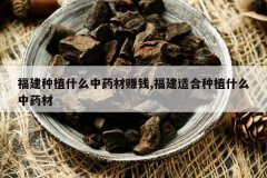 <b>������ֲʲô��ҩ��׬Ǯ,�����ʺ���ֲʲô��ҩ��</b>