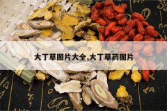 <b>�󶡲�ͼƬ��ȫ,�󶡲�ҩͼƬ</b>