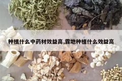 <b>��ֲʲô��ҩ��Ч���,¶����ֲʲôЧ���</b>