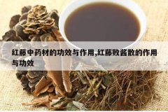 <b>������ҩ�ĵĹ�Ч������,���ٰܽ�ɢ�������빦Ч</b>