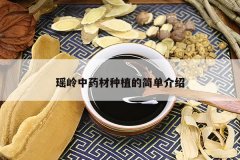 <b>������ҩ����ֲ�ļ򵥽���</b>