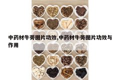 <b>��ҩ��ţ��ͼƬ��Ч,��ҩ��ţ��ͼƬ��Ч������</b>