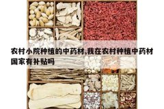 <b>ũ��СԺ��ֲ����ҩ��,����ũ����ֲ��ҩ�Ĺ����в�����</b>