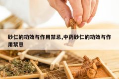 <b>ɰ�ʵĹ�Ч�����ý���,��ҩɰ�ʵĹ�Ч�����ý���</b>